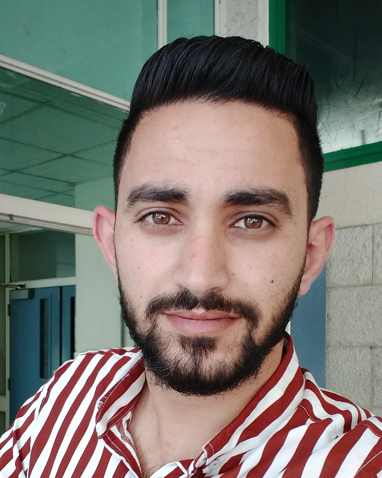 nidal bilal ali amer